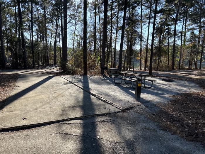 A photo of Site 20 of Loop BAYS at HARDRIDGE CREEK with Picnic Table, Electricity Hookup, Fire Pit, Shade, Lantern Pole, Water Hookup