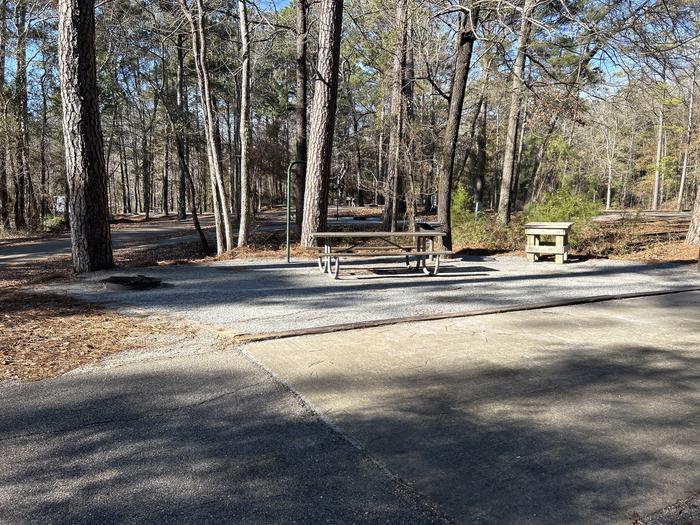 A photo of Site 15 of Loop BAYS at HARDRIDGE CREEK with Picnic Table, Electricity Hookup, Fire Pit, Shade, Lantern Pole, Water Hookup