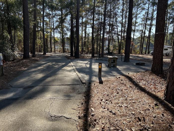 A photo of Site 18 of Loop BAYS at HARDRIDGE CREEK with Picnic Table, Electricity Hookup, Fire Pit, Shade, Lantern Pole, Water Hookup