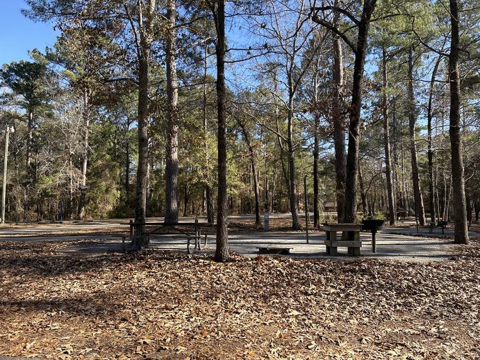 A photo of Site 13 of Loop BAYS at HARDRIDGE CREEK with Picnic Table, Electricity Hookup, Fire Pit, Shade, Lantern Pole, Water Hookup