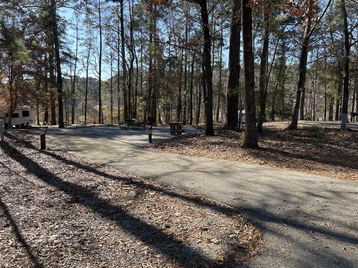 A photo of Site 14 of Loop BAYS at HARDRIDGE CREEK with Picnic Table, Electricity Hookup, Fire Pit, Shade, Lantern Pole, Water Hookup