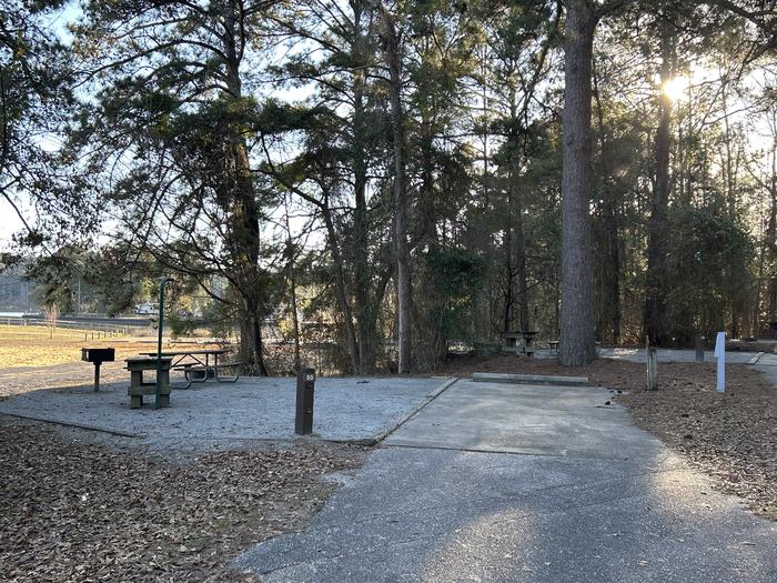 A photo of Site 50 of Loop VIEW at HARDRIDGE CREEK with Picnic Table, Electricity Hookup, Fire Pit, Shade, Waterfront, Lantern Pole, Water Hookup