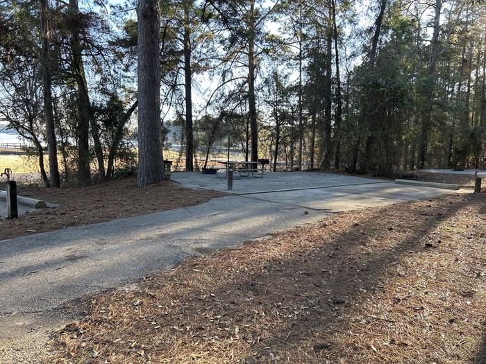 A photo of Site 49 of Loop VIEW at HARDRIDGE CREEK with Picnic Table, Electricity Hookup, Fire Pit, Shade, Waterfront, Lantern Pole, Water Hookup