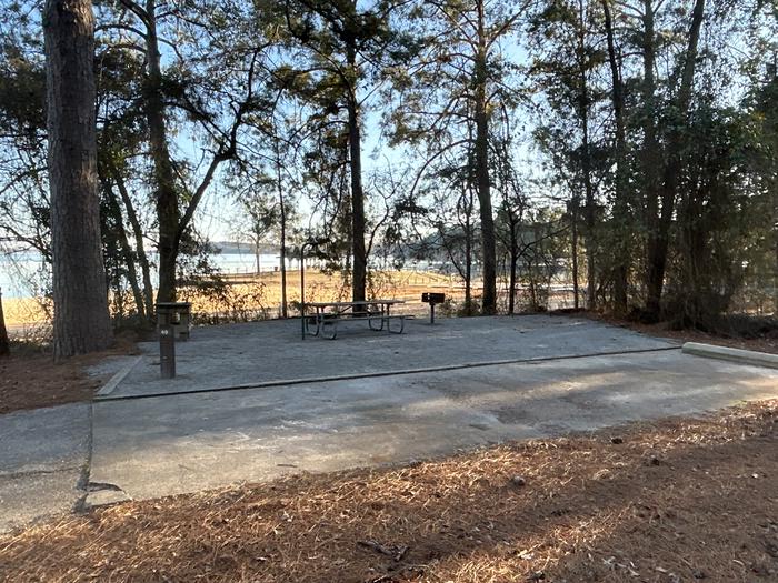 A photo of Site 49 of Loop VIEW at HARDRIDGE CREEK with Picnic Table, Electricity Hookup, Fire Pit, Shade, Waterfront, Lantern Pole, Water Hookup