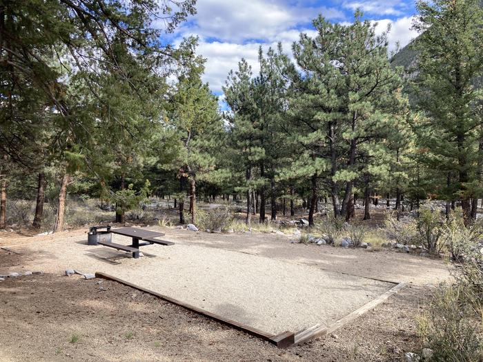 Campsite with trees, picnic table and metal fire pit.A photo of Site 013 with picnic table and fire pit.