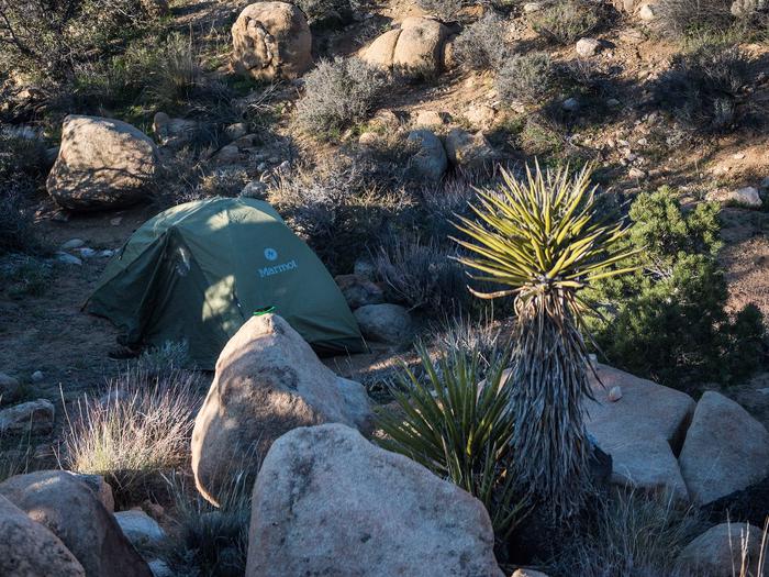 a green tent set up behind a rock pile and a yucca plantAn example of how to set up a tent properly in the Wilderness