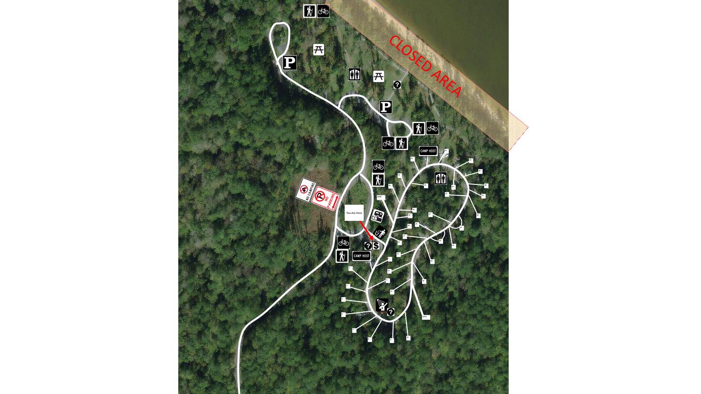 Neuse River/Flanners Beach CampgroundCampground Map