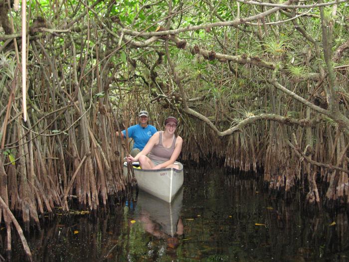 Canoeing through mangrove tunnelsCanoeing is one of the many activities you can enjoy in Big Cypress