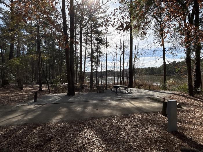 A photo of Site 05 of Loop BAYS at HARDRIDGE CREEK with Picnic Table, Electricity Hookup, Fire Pit, Shade, Waterfront, Lantern Pole, Water Hookup