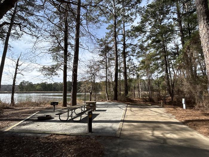 A photo of Site 11 of Loop BAYS at HARDRIDGE CREEK with Picnic Table, Electricity Hookup, Fire Pit, Shade, Waterfront, Lantern Pole, Water Hookup
