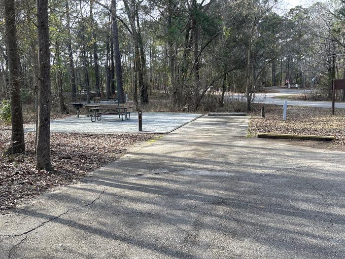 A photo of Site 37 of Loop PCOV at HARDRIDGE CREEK with Picnic Table, Electricity Hookup, Fire Pit, Shade, Lantern Pole, Water Hookup