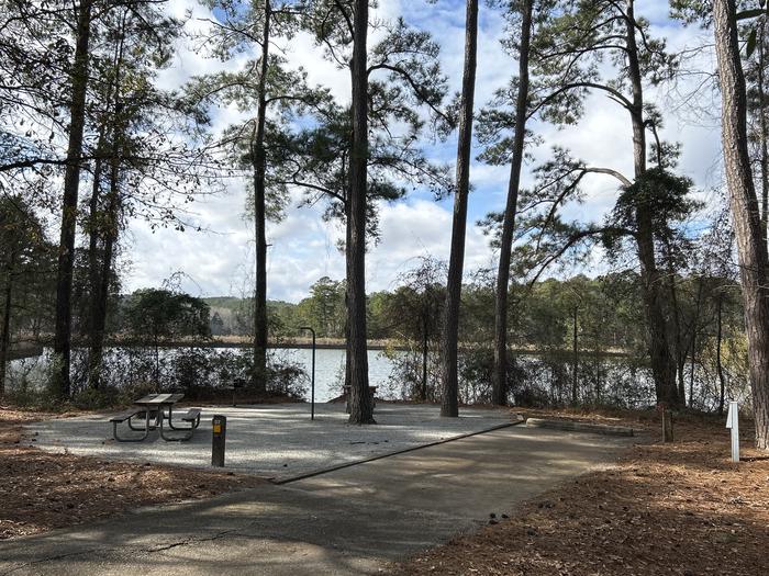 A photo of Site 27 of Loop HPAS at HARDRIDGE CREEK with Picnic Table, Electricity Hookup, Fire Pit, Shade, Waterfront, Lantern Pole, Water Hookup