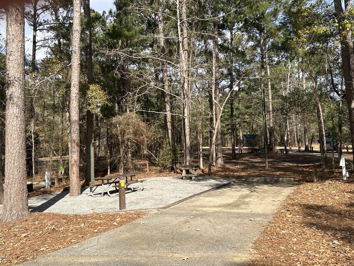 A photo of Site 23 of Loop HPAS at HARDRIDGE CREEK with Picnic Table, Electricity Hookup, Fire Pit, Lantern Pole, Water Hookup