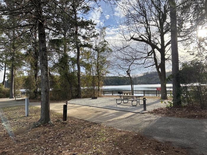 A photo of Site 39 of Loop PCOV at HARDRIDGE CREEK with Picnic Table, Electricity Hookup, Fire Pit, Shade, Waterfront, Lantern Pole, Water Hookup