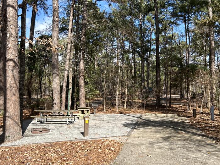 A photo of Site 24 of Loop HPAS at HARDRIDGE CREEK with Picnic Table, Electricity Hookup, Fire Pit, Lantern Pole, Water Hookup