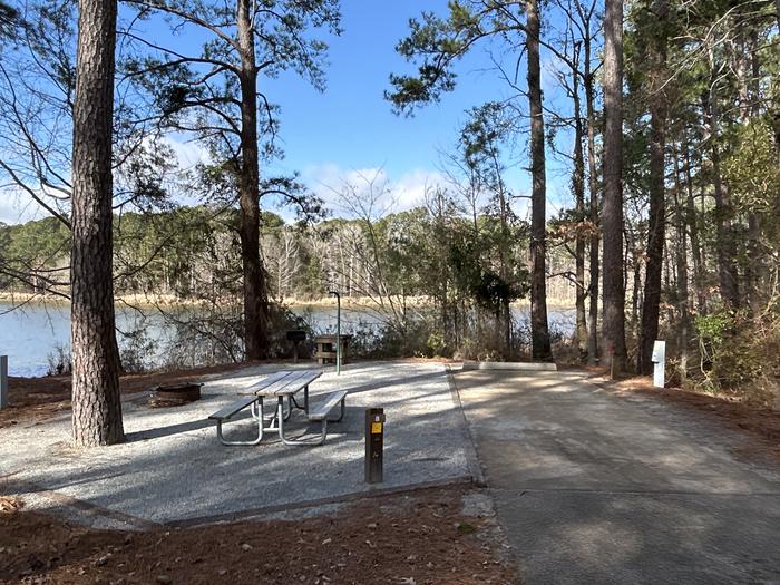 A photo of Site 08 of Loop BAYS at HARDRIDGE CREEK with Picnic Table, Electricity Hookup, Fire Pit, Shade, Waterfront, Lantern Pole, Water Hookup