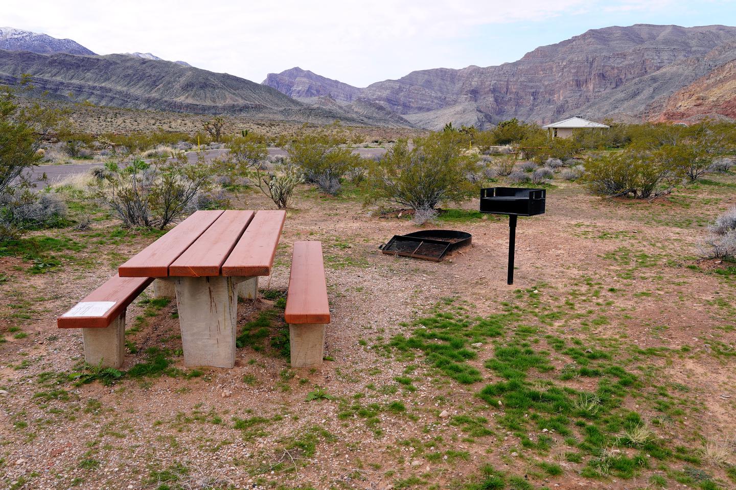 Site 38 AmenditiesShowing the picnic table and grill of Site 38
