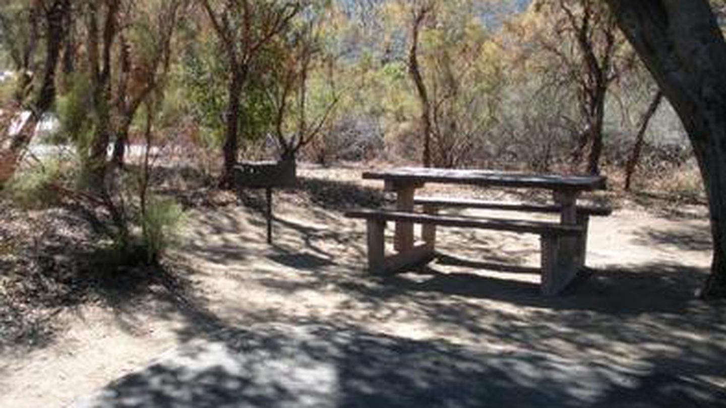 Picnic table and grill under the shade of a large tree.Oak Grove Campground