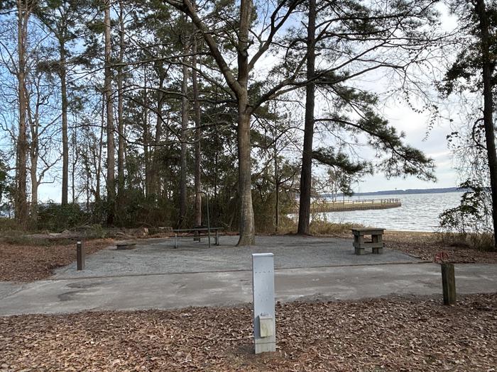 A photo of Site 46 of Loop PCOV at HARDRIDGE CREEK with Picnic Table, Electricity Hookup, Fire Pit, Shade, Waterfront, Lantern Pole, Water Hookup