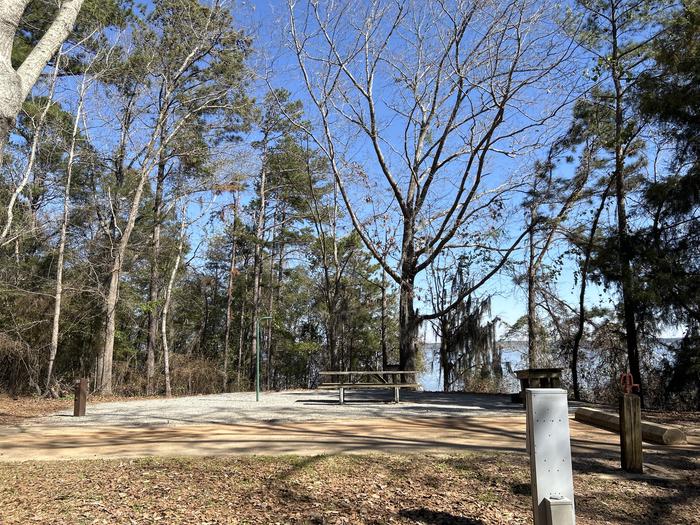 A photo of Site 52 of Loop VIEW at HARDRIDGE CREEK with Picnic Table, Electricity Hookup, Fire Pit, Shade, Waterfront, Lantern Pole, Water Hookup