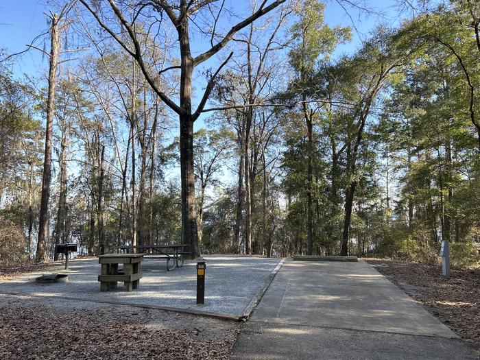 A photo of Site 58 of Loop SLOO at HARDRIDGE CREEK with Picnic Table, Electricity Hookup, Fire Pit, Shade, Waterfront, Lantern Pole, Water Hookup