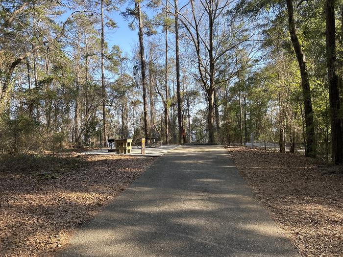 A photo of Site 59 of Loop SLOO at HARDRIDGE CREEK with Picnic Table, Electricity Hookup, Sewer Hookup, Fire Pit, Shade, Full Hookup, Waterfront, Lantern Pole, Water Hookup