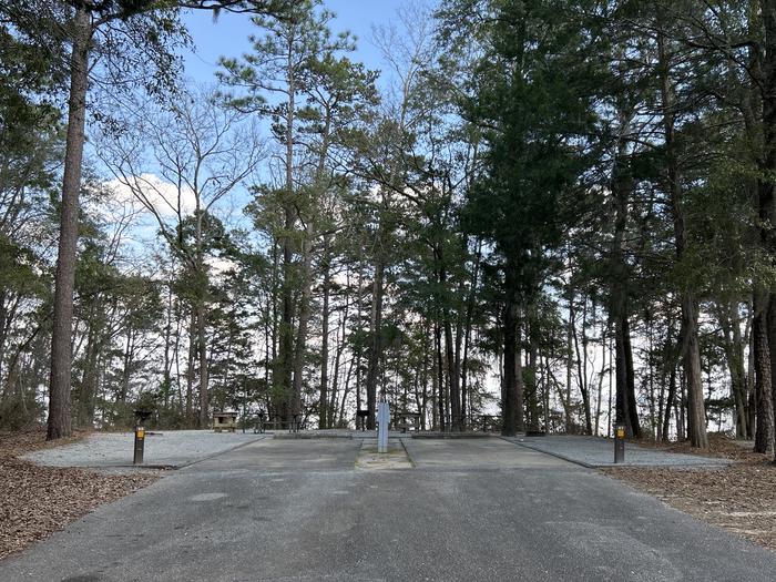 A photo of Site 67/68 of Loop SLOO at HARDRIDGE CREEK with Picnic Table, Electricity Hookup, Sewer Hookup, Fire Pit, Shade, Full Hookup, Waterfront, Lantern Pole