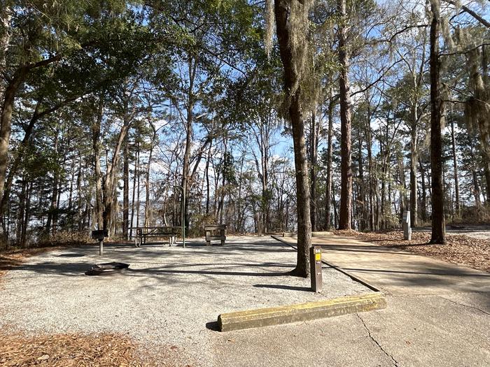 A photo of Site 66 of Loop SLOO at HARDRIDGE CREEK with Picnic Table, Electricity Hookup, Sewer Hookup, Fire Pit, Shade, Full Hookup, Waterfront, Lantern Pole, Water Hookup