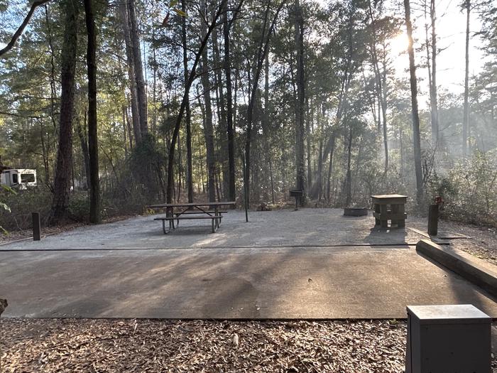 A photo of Site 73 of Loop SLOO at HARDRIDGE CREEK with Picnic Table, Electricity Hookup, Sewer Hookup, Fire Pit, Shade, Full Hookup, Lantern Pole, Water Hookup