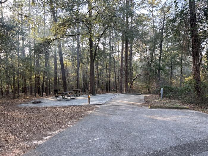 A photo of Site 74 of Loop SLOO at HARDRIDGE CREEK with Picnic Table, Electricity Hookup, Sewer Hookup, Fire Pit, Shade, Full Hookup, Lantern Pole, Water Hookup