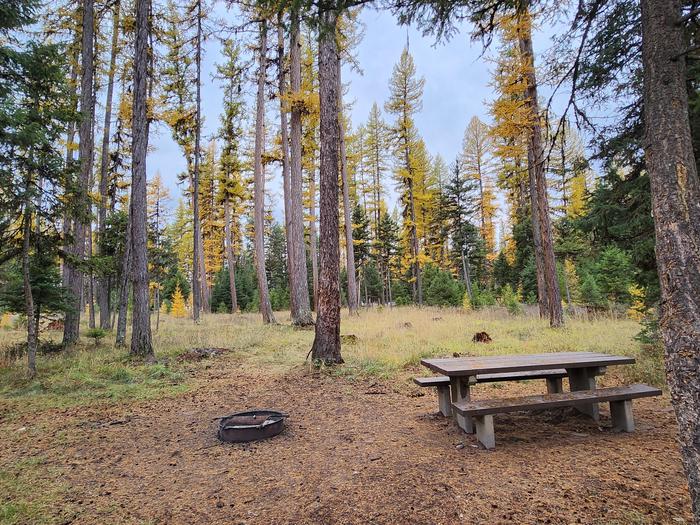 A picnic table and fire ring at a campsite in Big Larch Campground. Western larch trees can be seen in the background, with their needles turning gold as autumn approaches. 