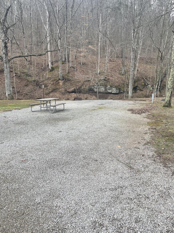 A photo of Site 037 of Loop  at Riffle Run Campground with Picnic Table, Fire Pit, Full Hookup, Lantern Pole