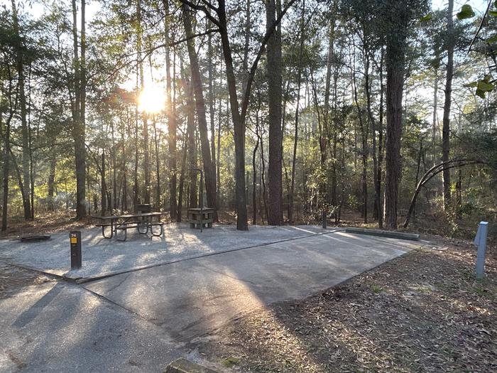 A photo of Site 74 of Loop SLOO at HARDRIDGE CREEK with Picnic Table, Electricity Hookup, Sewer Hookup, Fire Pit, Shade, Full Hookup, Lantern Pole, Water Hookup