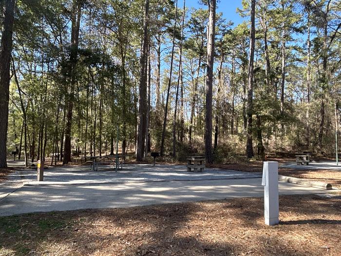 A photo of Site 71 of Loop SLOO at HARDRIDGE CREEK with Picnic Table, Electricity Hookup, Sewer Hookup, Fire Pit, Shade, Full Hookup, Lantern Pole, Water Hookup