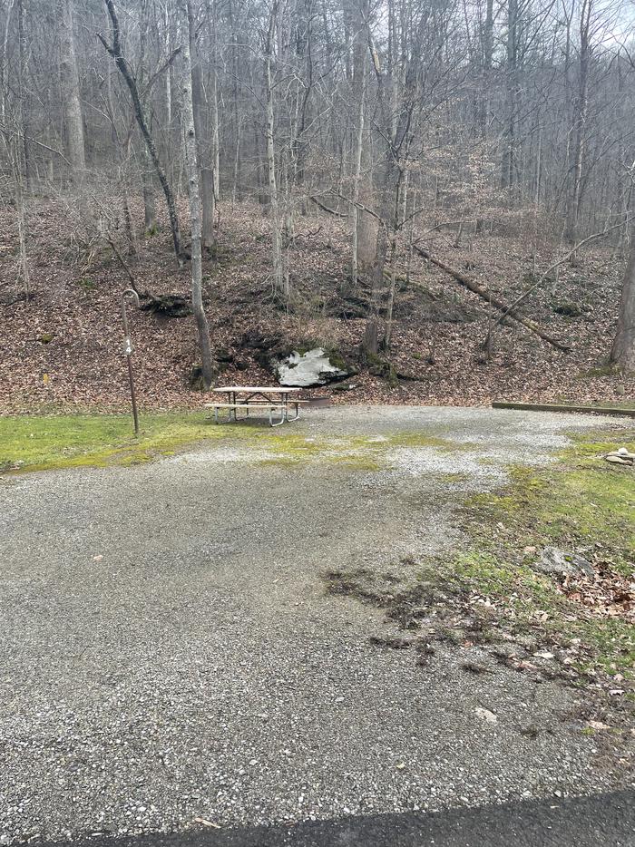A photo of Site 014 of Loop  at Riffle Run Campground with Picnic Table, Fire Pit, Full Hookup, Lantern Pole