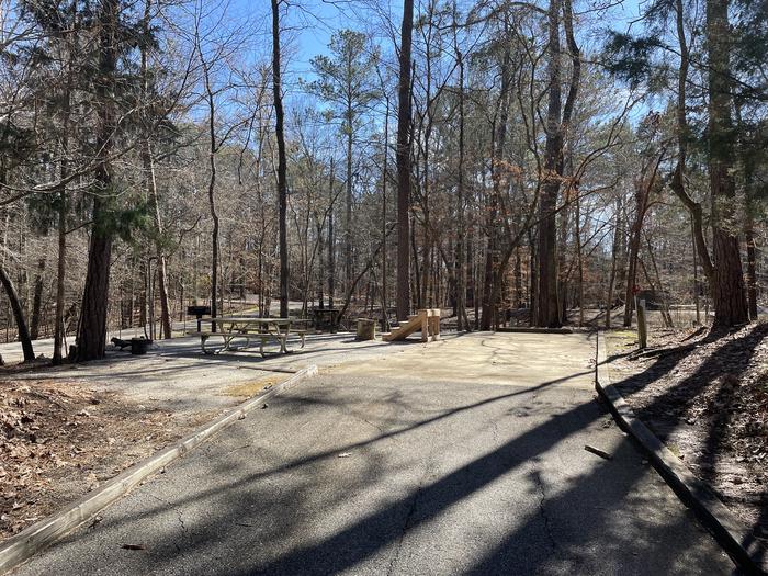 A photo of Site 04 of Loop TPIN at DEERLICK CREEK with Picnic Table