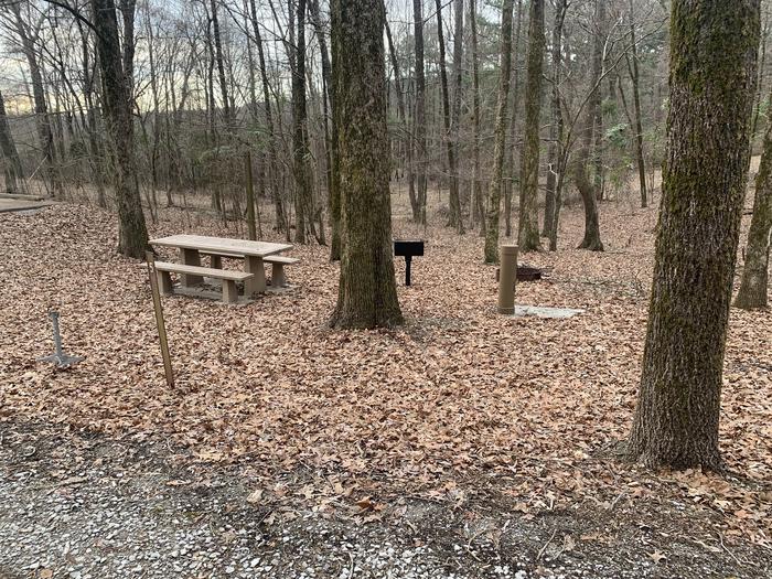 A photo of Site 5 of Loop Main Loop at Long Branch Campground with Picnic Table, Fire Pit, Shade, Lantern Pole