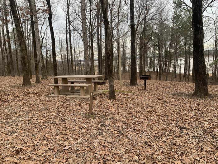 A photo of Site 4 of Loop Main Loop at Long Branch Campground with Picnic Table, Fire Pit, Shade, Lantern Pole