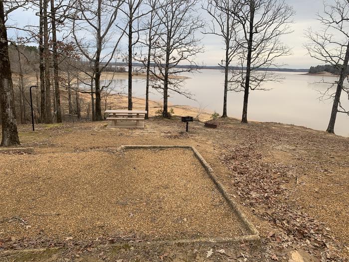 A photo of Site 11 of Loop Main Loop at Long Branch Campground with Picnic Table, Fire Pit, Tent Pad, Waterfront, Lantern Pole