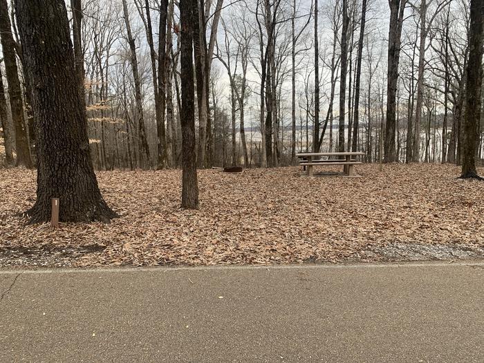 A photo of Site 1 of Loop Main Loop at Long Branch Campground with Picnic Table, Fire Pit, Shade, Lantern Pole