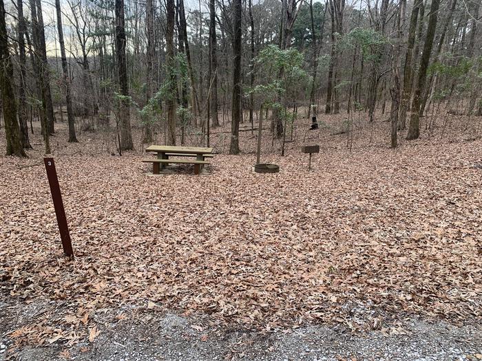 A photo of Site 3 of Loop Main Loop at Long Branch Campground with Picnic Table, Fire Pit, Shade, Lantern Pole