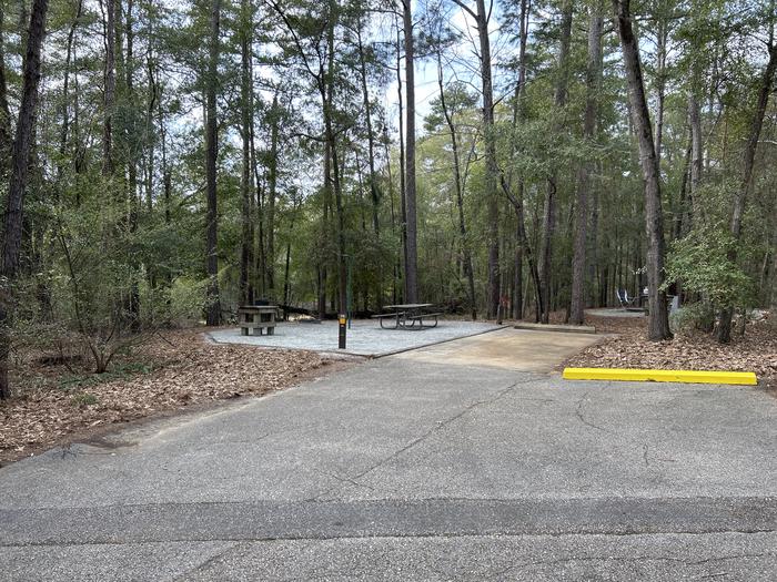 A photo of Site 76 of Loop SLOO at HARDRIDGE CREEK with Picnic Table, Electricity Hookup, Sewer Hookup, Fire Pit, Shade, Full Hookup, Lantern Pole, Water Hookup