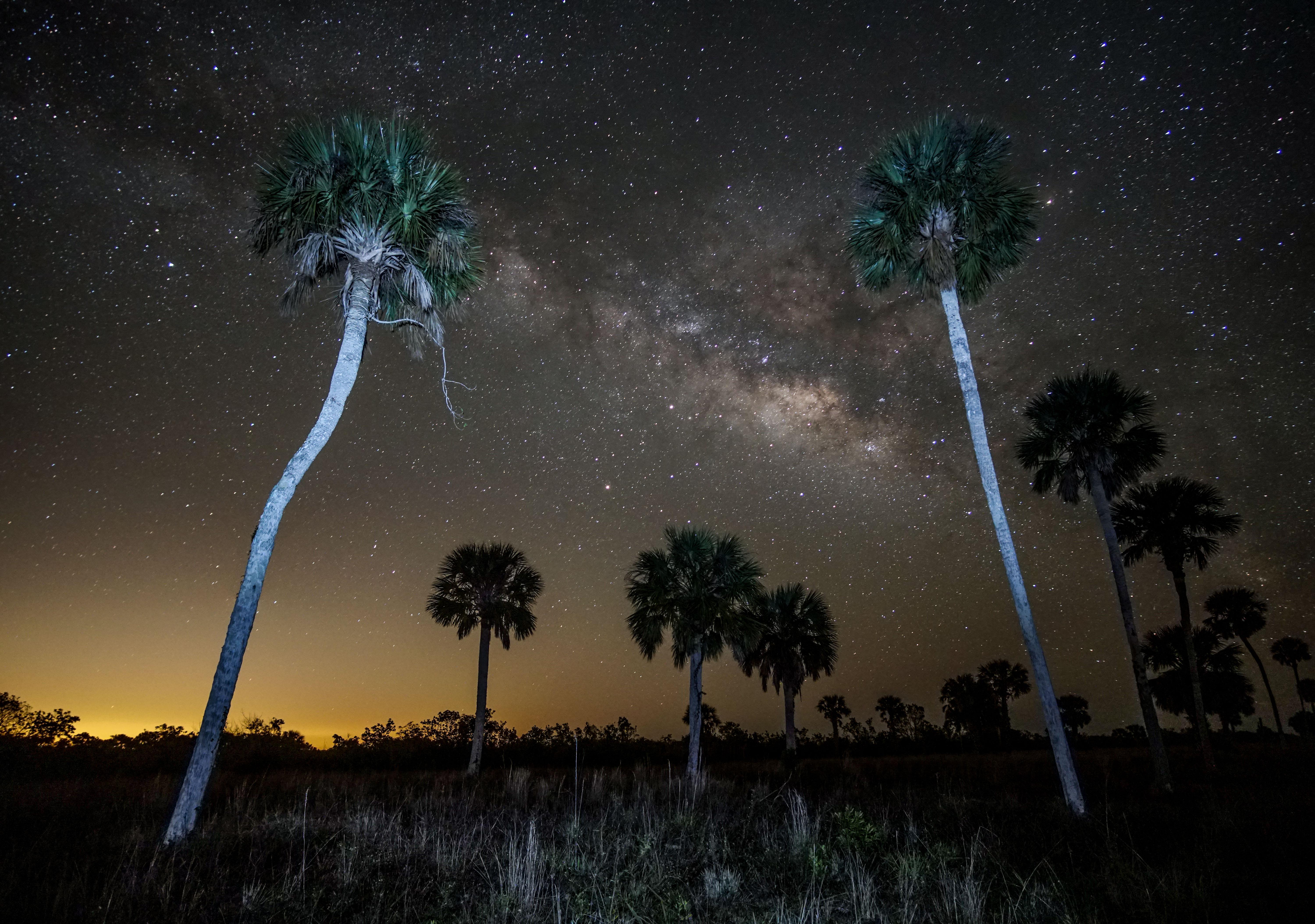 Big Cypress Milky Way