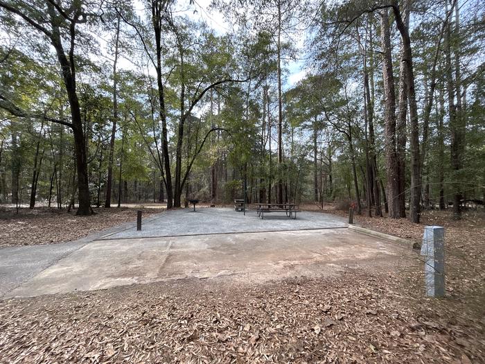 A photo of Site 77 of Loop SLOO at HARDRIDGE CREEK with Picnic Table, Electricity Hookup, Sewer Hookup, Fire Pit, Shade, Full Hookup, Lantern Pole, Water Hookup