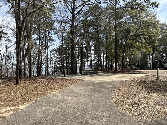 A photo of Site 65 of Loop SLOO at HARDRIDGE CREEK with Picnic Table, Electricity Hookup, Sewer Hookup, Fire Pit, Shade, Full Hookup, Waterfront, Lantern Pole, Water Hookup