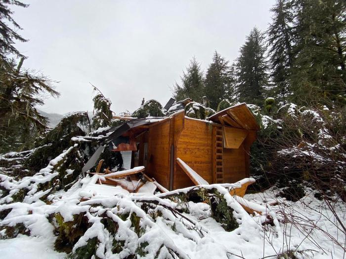 Cabin with a tree fallen on it and debris scattered.Anan Bay Cabin is closed for 2023 season due to fallen tree. 
