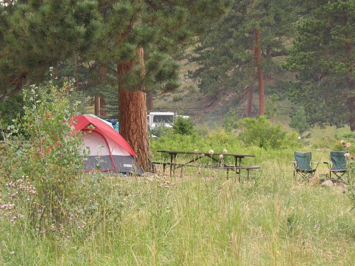 A campsite with a tent surrounded by Douglas Fir at AspenglenA campsite at Aspenglen Campground