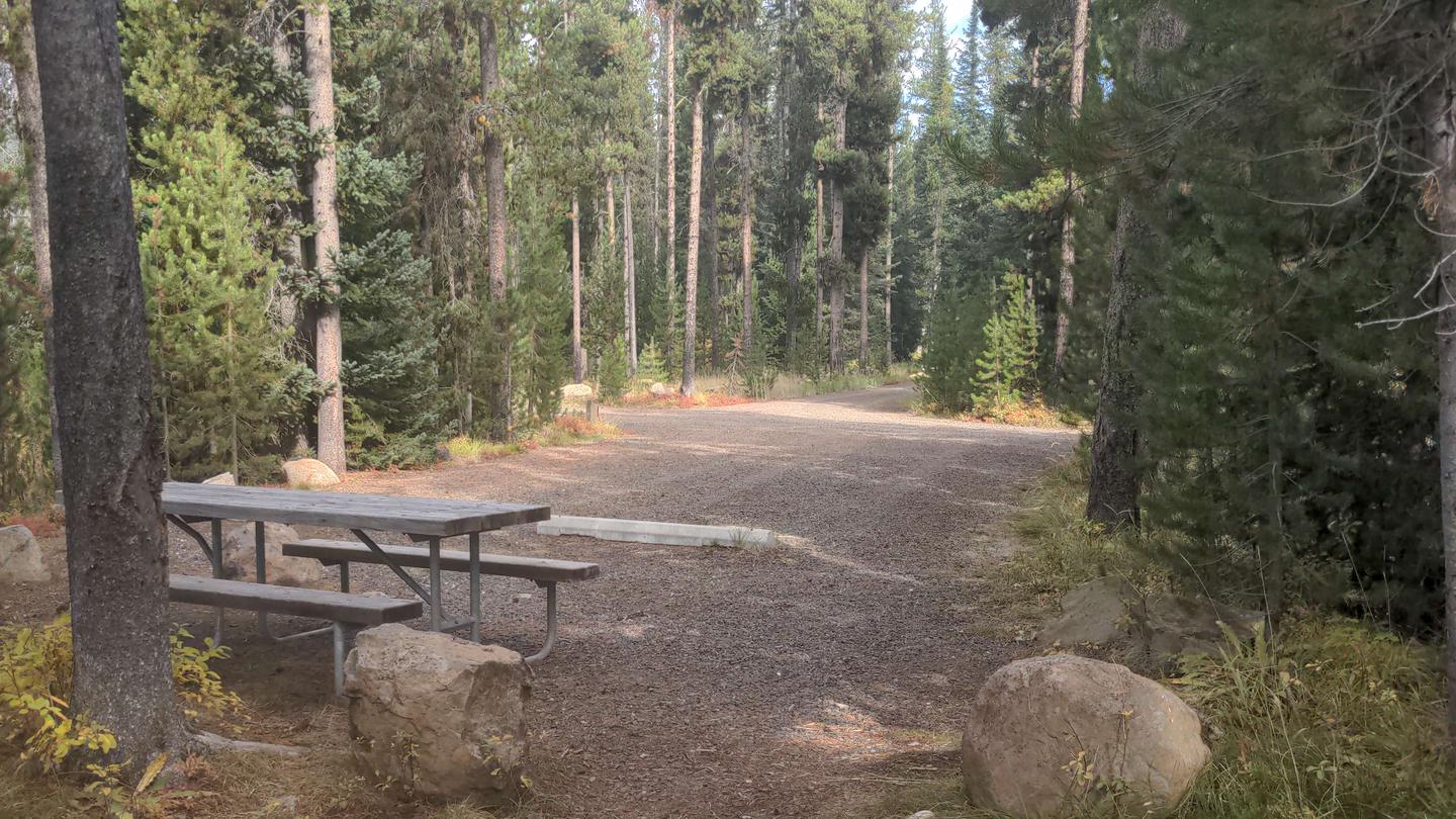 Picnic table and fire ring surrounded by forest.Chinook Campground Site