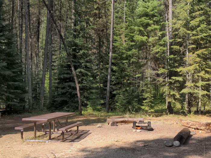 Walk in campsite with picnic table and fire pit in a forested setting. Poverty Flat Campground 