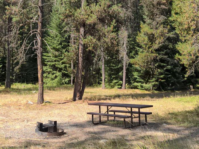 Walk in campsite with picnic table and fire pit in a forested setting. Walk in Site